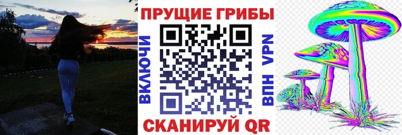 Псилоцибиновые грибы мицелий  где продают   Саров 